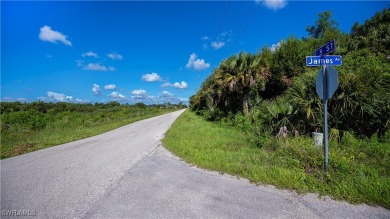 What a great opportunity to purchase 4 prime residential acres on Lehigh Resort Club in Florida - for sale on GolfHomes.com, golf home, golf lot