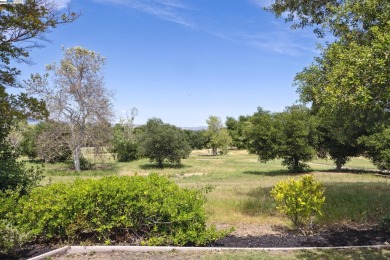 Experience the grandeur of this palatial single-story home with on Ruby Hill Golf Club in California - for sale on GolfHomes.com, golf home, golf lot