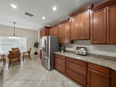 Welcome to your personal haven and next chapter in beautiful on Lake Ashton Golf Club in Florida - for sale on GolfHomes.com, golf home, golf lot
