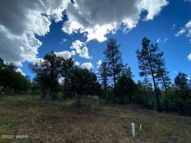 New Release in Torreon!!!! TORREON LAKES, come take a look at on Torreon Golf Club in Arizona - for sale on GolfHomes.com, golf home, golf lot