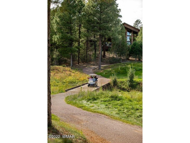 New Release in Torreon!!!! TORREON LAKES, come take a look at on Torreon Golf Club in Arizona - for sale on GolfHomes.com, golf home, golf lot