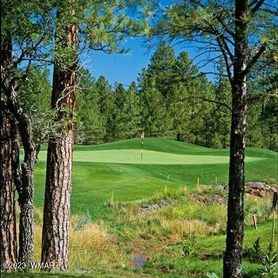 New Release in Torreon!!!! TORREON LAKES, come take a look at on Torreon Golf Club in Arizona - for sale on GolfHomes.com, golf home, golf lot