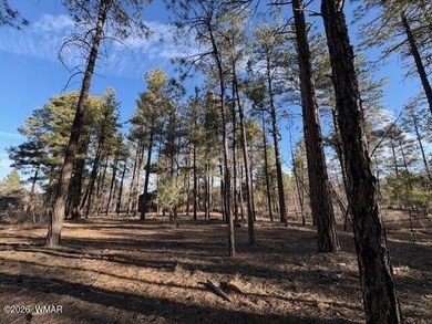 New Release in Torreon!!!! TORREON LAKES, come take a look at on Torreon Golf Club in Arizona - for sale on GolfHomes.com, golf home, golf lot