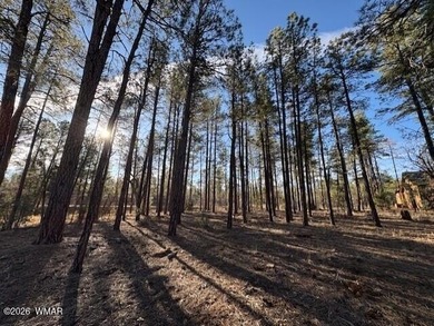 New Release in Torreon!!!! TORREON LAKES, come take a look at on Torreon Golf Club in Arizona - for sale on GolfHomes.com, golf home, golf lot