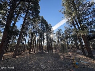 New Release in Torreon!!!! TORREON LAKES, come take a look at on Torreon Golf Club in Arizona - for sale on GolfHomes.com, golf home, golf lot