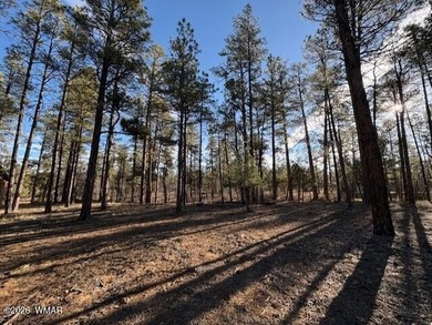 New Release in Torreon!!!! TORREON LAKES, come take a look at on Torreon Golf Club in Arizona - for sale on GolfHomes.com, golf home, golf lot