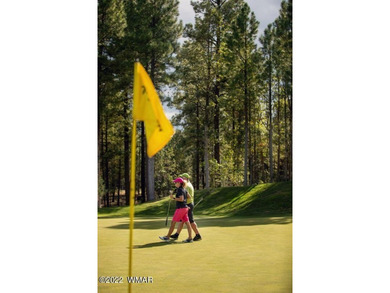 New Release in Torreon!!!! TORREON LAKES, come take a look at on Torreon Golf Club in Arizona - for sale on GolfHomes.com, golf home, golf lot