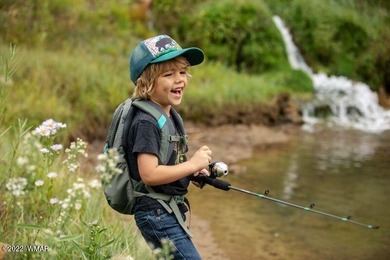 New Release in Torreon!!!! TORREON LAKES, come take a look at on Torreon Golf Club in Arizona - for sale on GolfHomes.com, golf home, golf lot