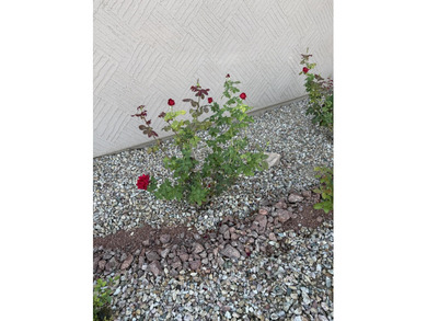 This 1616sq ft beautiful rambler is settled in the heart of the on Coral Canyon Golf Course in Utah - for sale on GolfHomes.com, golf home, golf lot