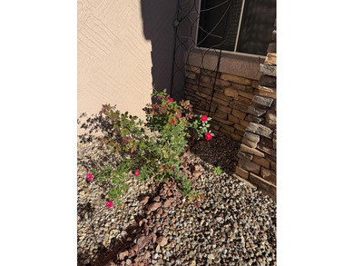 This 1616sq ft beautiful rambler is settled in the heart of the on Coral Canyon Golf Course in Utah - for sale on GolfHomes.com, golf home, golf lot