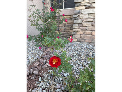 This 1616sq ft beautiful rambler is settled in the heart of the on Coral Canyon Golf Course in Utah - for sale on GolfHomes.com, golf home, golf lot