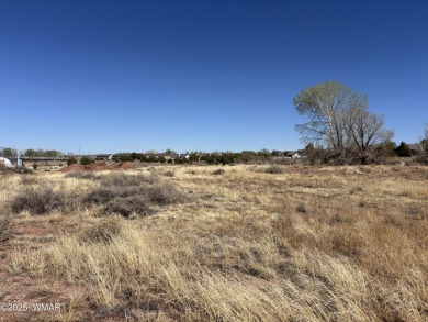 Prime 1-Acre Commercial Property Near Golf Course - Endless on Snowflake Municipal Golf Course in Arizona - for sale on GolfHomes.com, golf home, golf lot