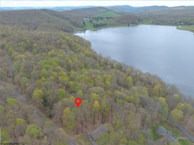 Looking for the perfect Lake House Location? This is it! This on Alpine Lake Resort in West Virginia - for sale on GolfHomes.com, golf home, golf lot