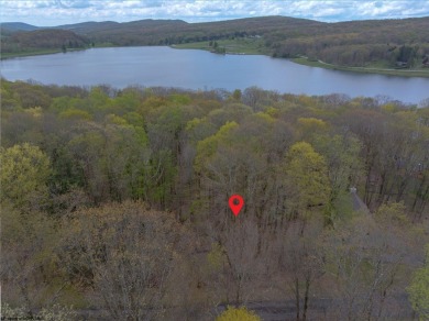 Looking for the perfect Lake House Location? This is it! This on Alpine Lake Resort in West Virginia - for sale on GolfHomes.com, golf home, golf lot