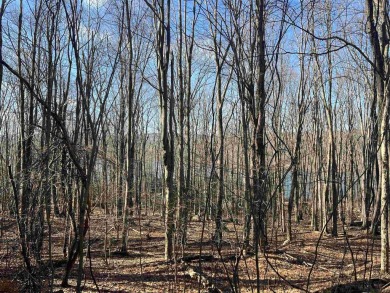 Looking for the perfect Lake House Location? This is it! This on Alpine Lake Resort in West Virginia - for sale on GolfHomes.com, golf home, golf lot