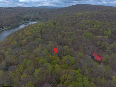 Looking for the perfect Lake House Location? This is it! This on Alpine Lake Resort in West Virginia - for sale on GolfHomes.com, golf home, golf lot