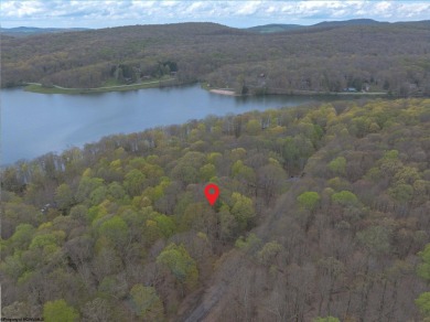 Looking for the perfect Lake House Location? This is it! This on Alpine Lake Resort in West Virginia - for sale on GolfHomes.com, golf home, golf lot