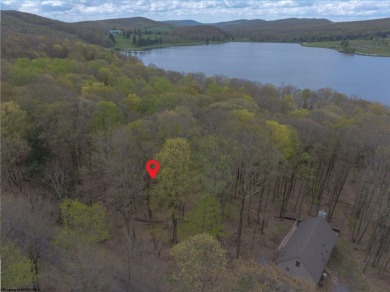 Looking for the perfect Lake House Location? This is it! This on Alpine Lake Resort in West Virginia - for sale on GolfHomes.com, golf home, golf lot