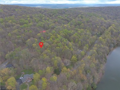Looking for the perfect Lake House Location? This is it! This on Alpine Lake Resort in West Virginia - for sale on GolfHomes.com, golf home, golf lot