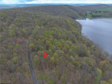 Looking for the perfect Lake House Location? This is it! This on Alpine Lake Resort in West Virginia - for sale on GolfHomes.com, golf home, golf lot