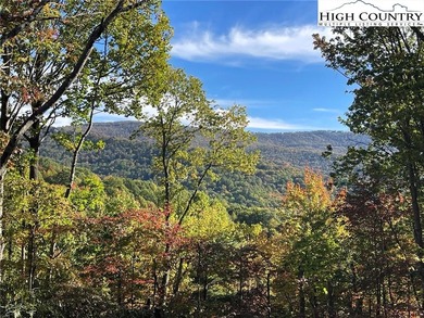 GREAT PRICE - RENTAL READY! Outstanding Log Cabin in Prime Beech on Beech Mountain Club in North Carolina - for sale on GolfHomes.com, golf home, golf lot