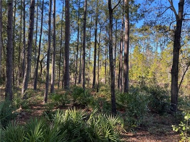 Rare find - Large 1 Acre lakefront lot in gated Stillwater on The King and Prince Golf Course, Home of the Hampton Club in Georgia - for sale on GolfHomes.com, golf home, golf lot