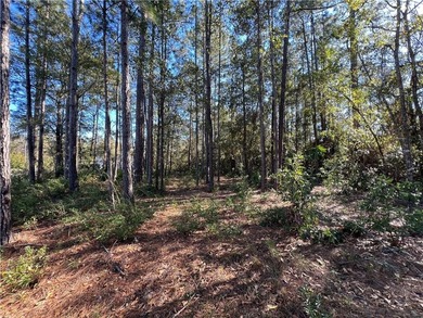 Rare find - Large 1 Acre lakefront lot in gated Stillwater on The King and Prince Golf Course, Home of the Hampton Club in Georgia - for sale on GolfHomes.com, golf home, golf lot