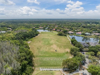 Single-Story 5-Bedroom Pool Home in Hunter's Green Golf on Hunters Green Country Club in Florida - for sale on GolfHomes.com, golf home, golf lot