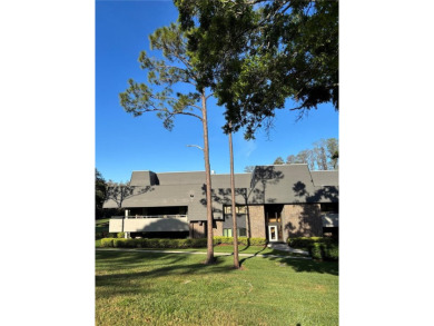 Looking for the *WOW* feature for your vacation spot or primary on Innisbrook Resort and Golf Club in Florida - for sale on GolfHomes.com, golf home, golf lot