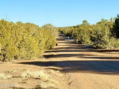 Beautiful, heavily treed lot in White Mountain Lakes with water on Silver Creek Golf Club in Arizona - for sale on GolfHomes.com, golf home, golf lot