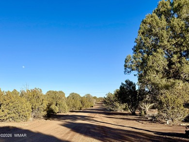 Beautiful, heavily treed lot in White Mountain Lakes with water on Silver Creek Golf Club in Arizona - for sale on GolfHomes.com, golf home, golf lot