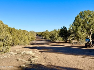 Beautiful, heavily treed lot in White Mountain Lakes with water on Silver Creek Golf Club in Arizona - for sale on GolfHomes.com, golf home, golf lot
