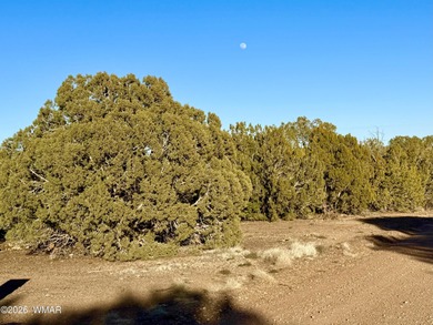 Beautiful, heavily treed lot in White Mountain Lakes with water on Silver Creek Golf Club in Arizona - for sale on GolfHomes.com, golf home, golf lot