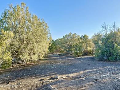 Beautiful, heavily treed lot in White Mountain Lakes with water on Silver Creek Golf Club in Arizona - for sale on GolfHomes.com, golf home, golf lot
