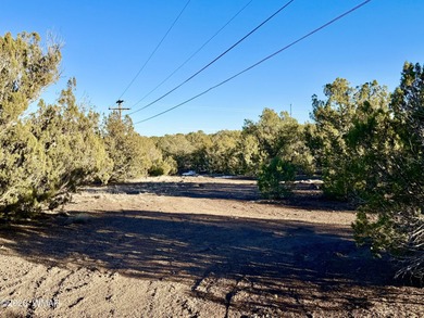 Beautiful, heavily treed lot in White Mountain Lakes with water on Silver Creek Golf Club in Arizona - for sale on GolfHomes.com, golf home, golf lot
