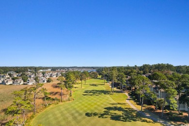 Indulge in a life of luxury and tranquility within the on Tidewater Golf Club and Plantation in South Carolina - for sale on GolfHomes.com, golf home, golf lot
