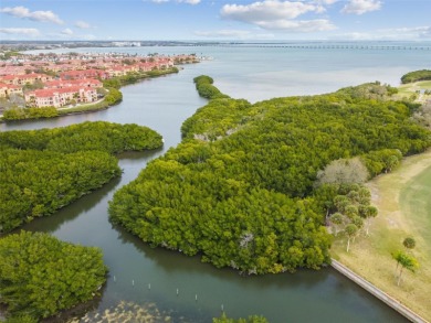 **PARADISE IN COVE CAY VILLAGE** MILESTONE BUILDING INSPECTION on Cove Cay Country Club in Florida - for sale on GolfHomes.com, golf home, golf lot