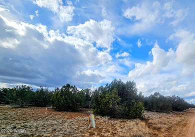 With the purchase of this property, you'll enjoy full access to on Silver Creek Golf Club in Arizona - for sale on GolfHomes.com, golf home, golf lot