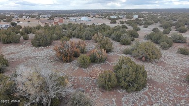 With the purchase of this property, you'll enjoy full access to on Silver Creek Golf Club in Arizona - for sale on GolfHomes.com, golf home, golf lot