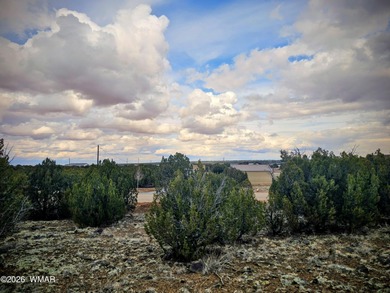 With the purchase of this property, you'll enjoy full access to on Silver Creek Golf Club in Arizona - for sale on GolfHomes.com, golf home, golf lot