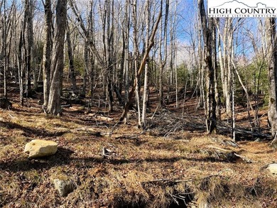 Excellent value on an elevated lot in a prime location! Just a on Beech Mountain Club in North Carolina - for sale on GolfHomes.com, golf home, golf lot