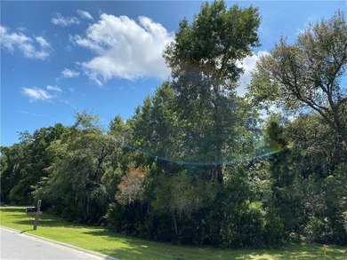 Rare find - Large 1 Acre lakefront lot in gated Stillwater on The King and Prince Golf Course, Home of the Hampton Club in Georgia - for sale on GolfHomes.com, golf home, golf lot