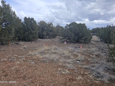 With the purchase of this property, you'll enjoy full access to on Silver Creek Golf Club in Arizona - for sale on GolfHomes.com, golf home, golf lot