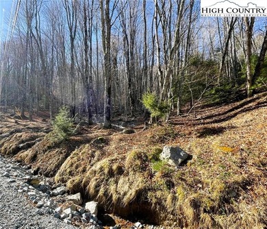 Excellent value on an elevated lot in a prime location! Just a on Beech Mountain Club in North Carolina - for sale on GolfHomes.com, golf home, golf lot