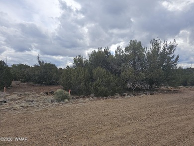 With the purchase of this property, you'll enjoy full access to on Silver Creek Golf Club in Arizona - for sale on GolfHomes.com, golf home, golf lot