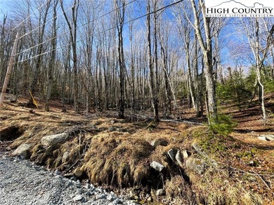 Excellent value on an elevated lot in a prime location! Just a on Beech Mountain Club in North Carolina - for sale on GolfHomes.com, golf home, golf lot