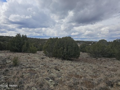 With the purchase of this property, you'll enjoy full access to on Silver Creek Golf Club in Arizona - for sale on GolfHomes.com, golf home, golf lot