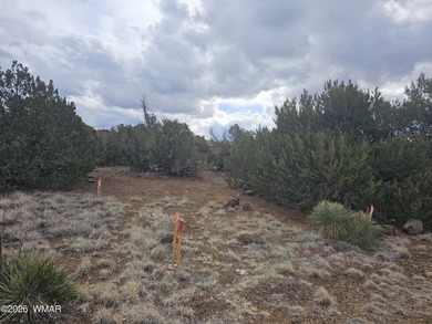 With the purchase of this property, you'll enjoy full access to on Silver Creek Golf Club in Arizona - for sale on GolfHomes.com, golf home, golf lot