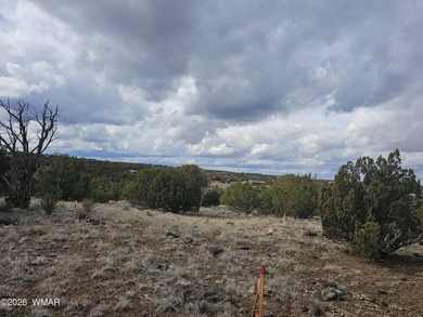 With the purchase of this property, you'll enjoy full access to on Silver Creek Golf Club in Arizona - for sale on GolfHomes.com, golf home, golf lot