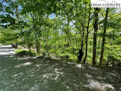 Excellent value on an elevated lot in a prime location! Just a on Beech Mountain Club in North Carolina - for sale on GolfHomes.com, golf home, golf lot